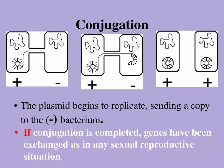 DNA Technology - Page 15
