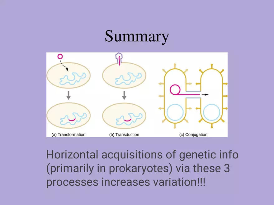 DNA Technology - Page 16