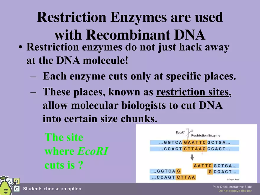 DNA Technology - Page 17