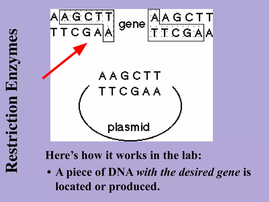 DNA Technology - Page 18