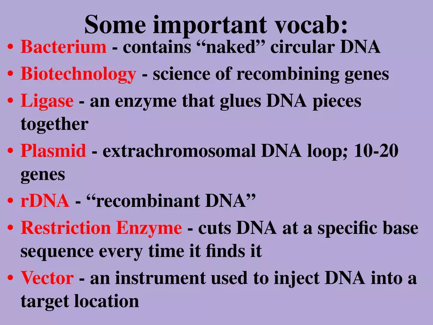 DNA Technology - Page 2