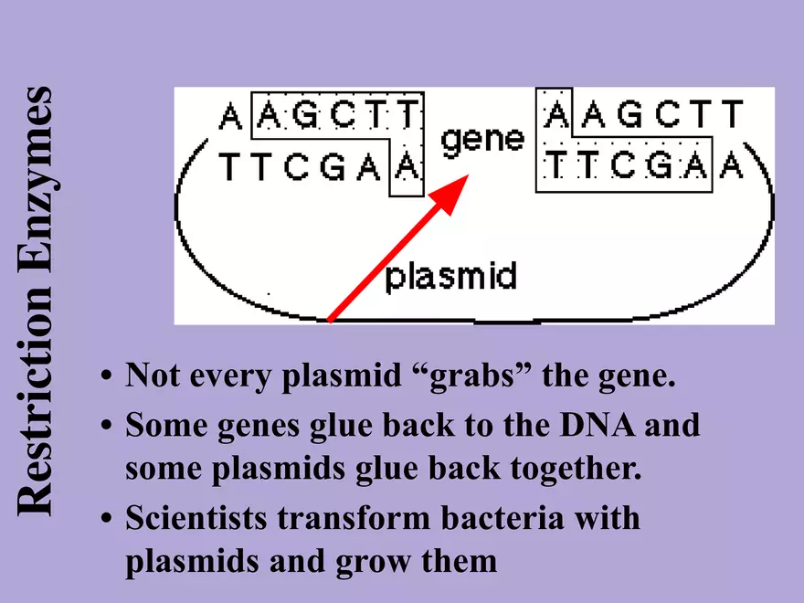 DNA Technology - Page 6