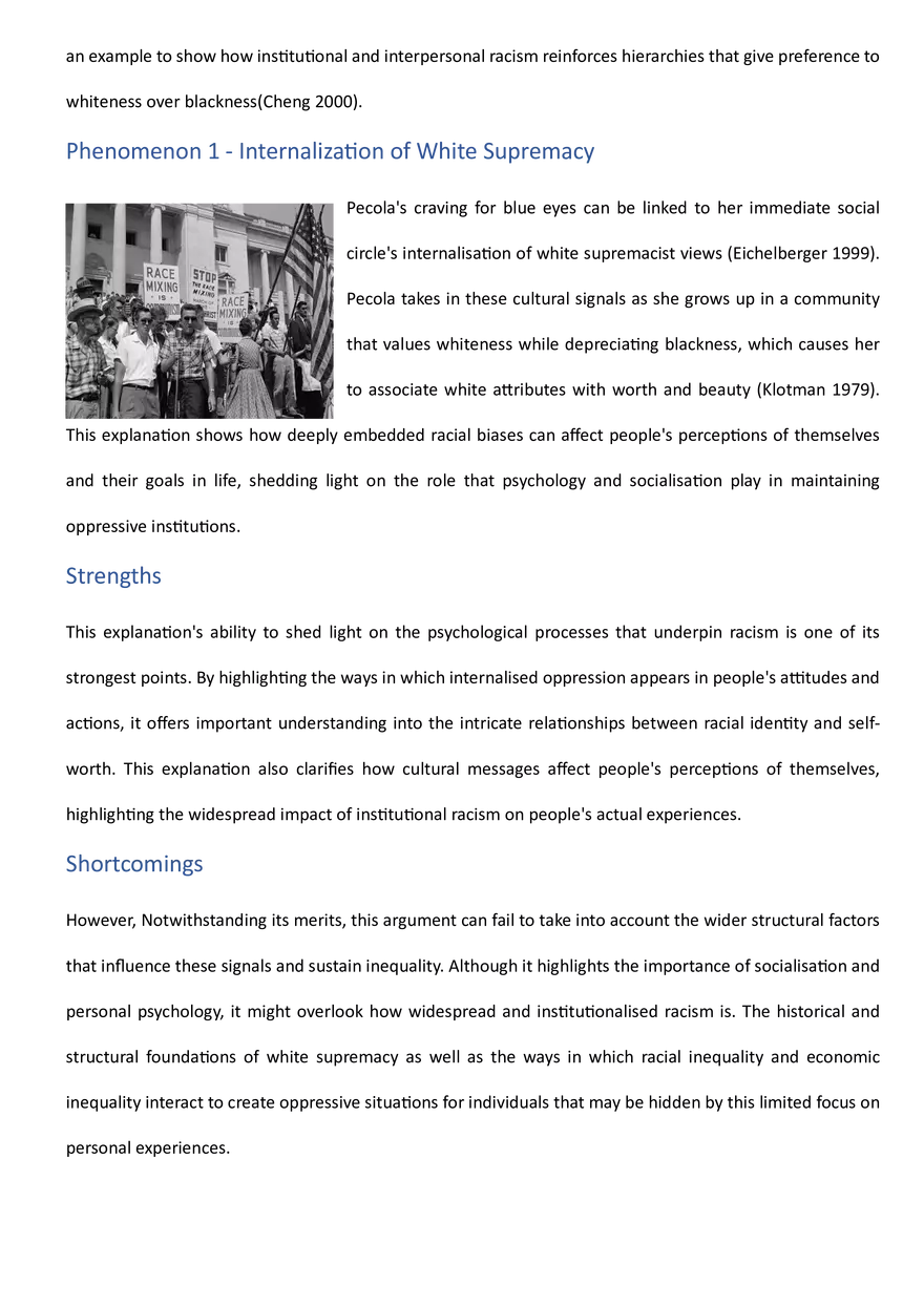 Paper Assignment – Racial and Ethnic Stratiﬁcaton - Page 7