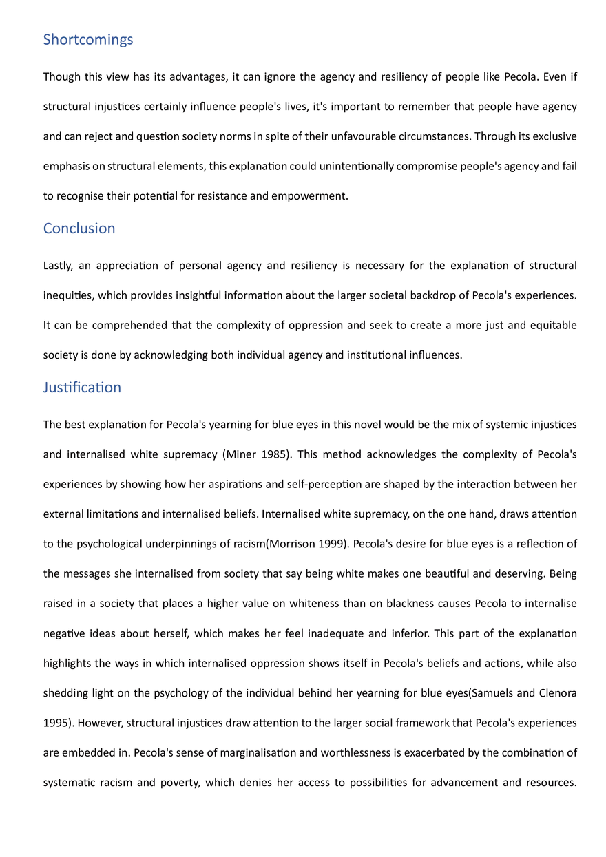 Paper Assignment – Racial and Ethnic Stratiﬁcaton - Page 9