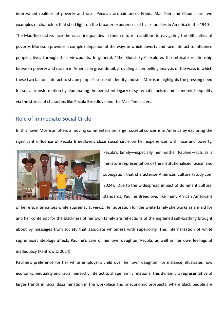 Paper Assignment – Racial and Ethnic Stratiﬁcaton - Page 2