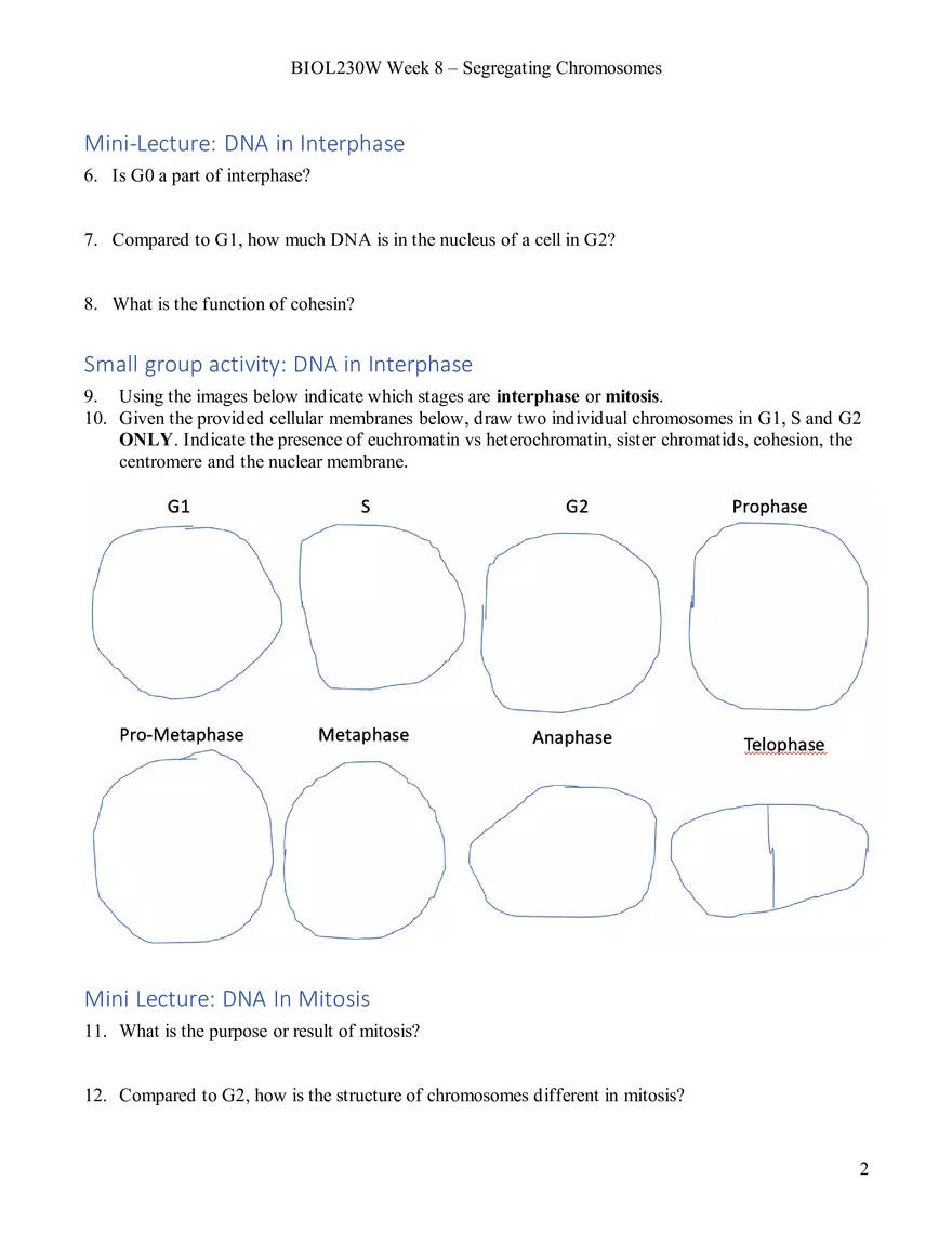 Week 8 - Segregating Chromosomes - Page 2