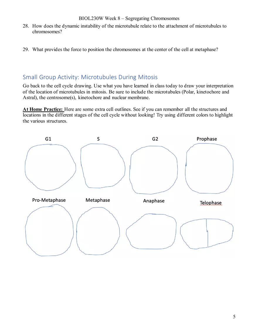 Week 8 - Segregating Chromosomes - Page 5