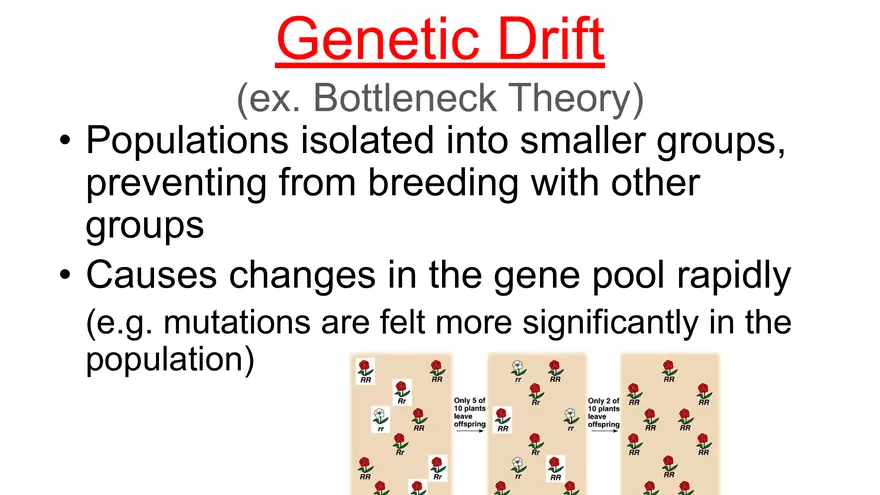 Lecture 5 - Mechanisms of Evolution - Page 3
