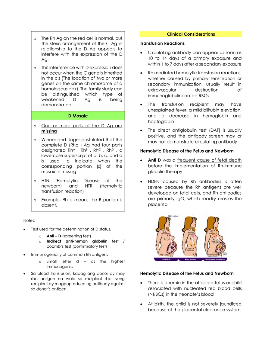 Immunohematology Lecture - Page 20
