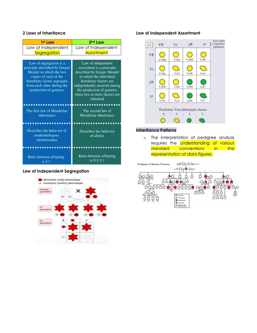 Immunohematology Lecture - Page 42