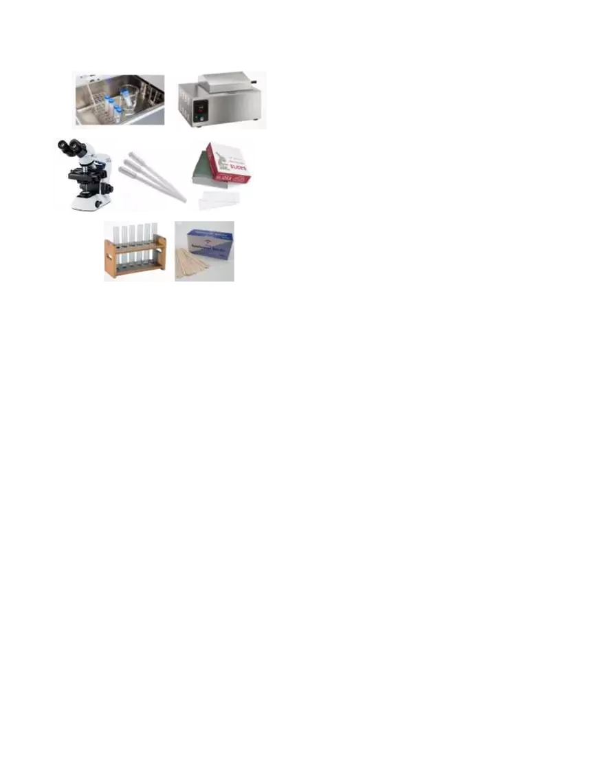 Immunohematology Lecture - Page 45