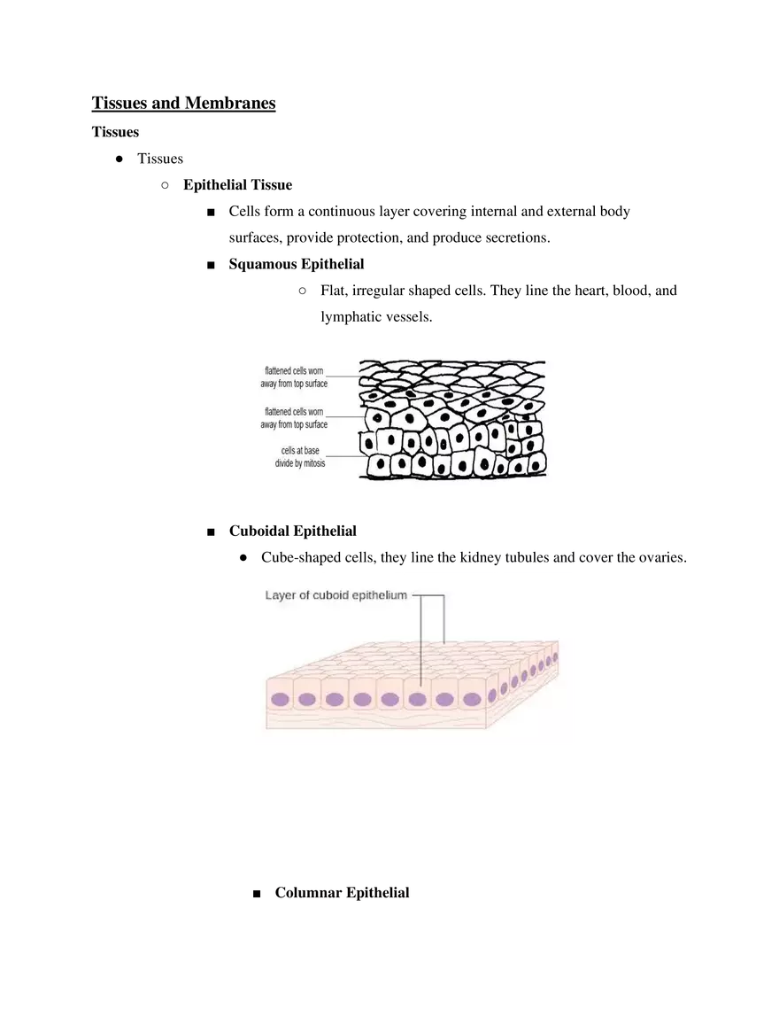 Tissues and Membranes Course Study Guide - Page 1