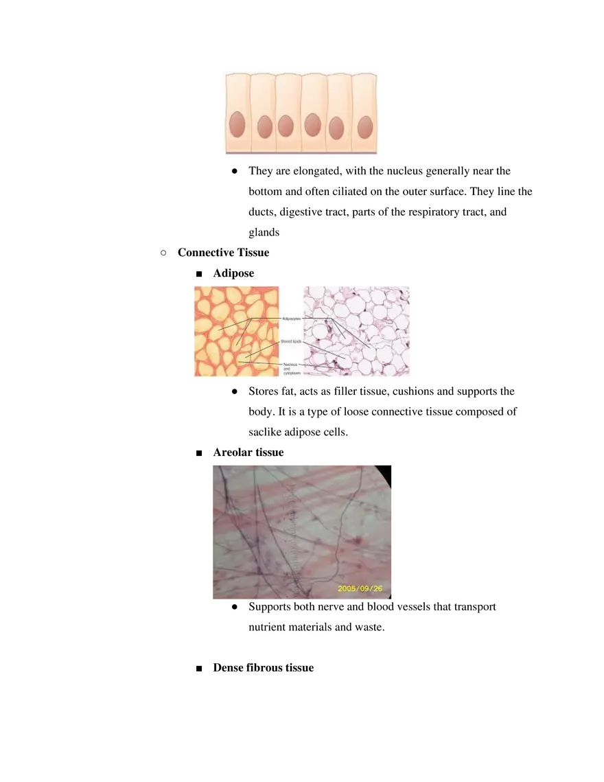 Tissues and Membranes Course Study Guide - Page 2