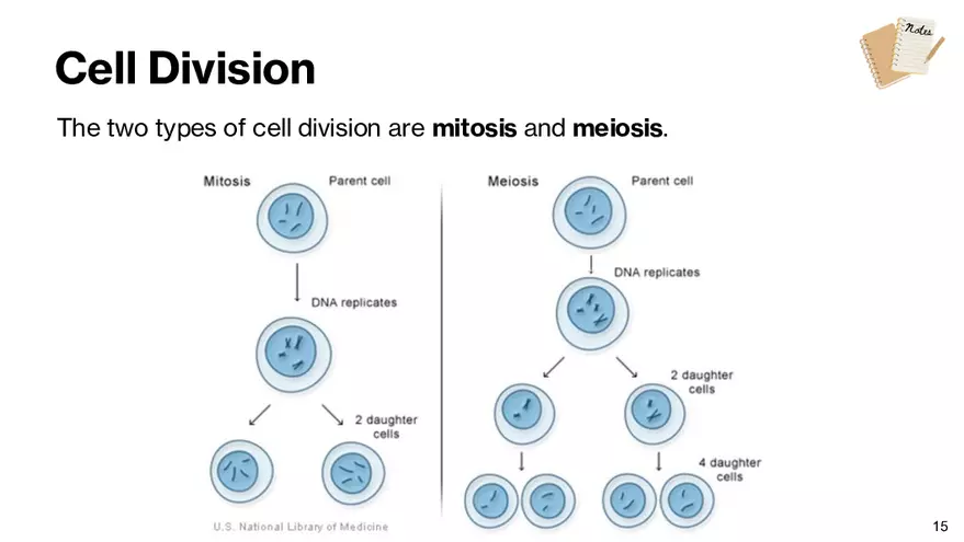 Notes - Chapter 5 - Page 7