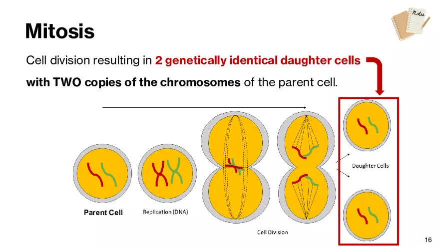 Notes - Chapter 5 - Page 8