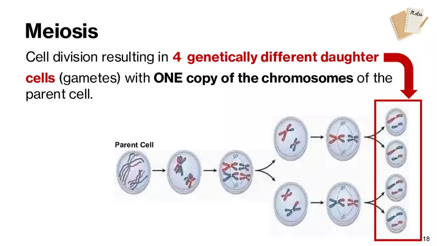 Notes - Chapter 5 - Page 10