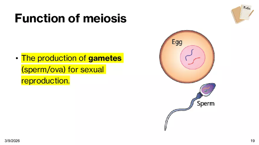 Notes - Chapter 5 - Page 11