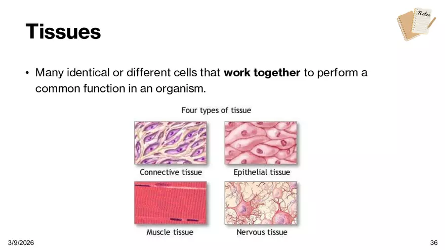 Notes - Chapter 5 - Page 30