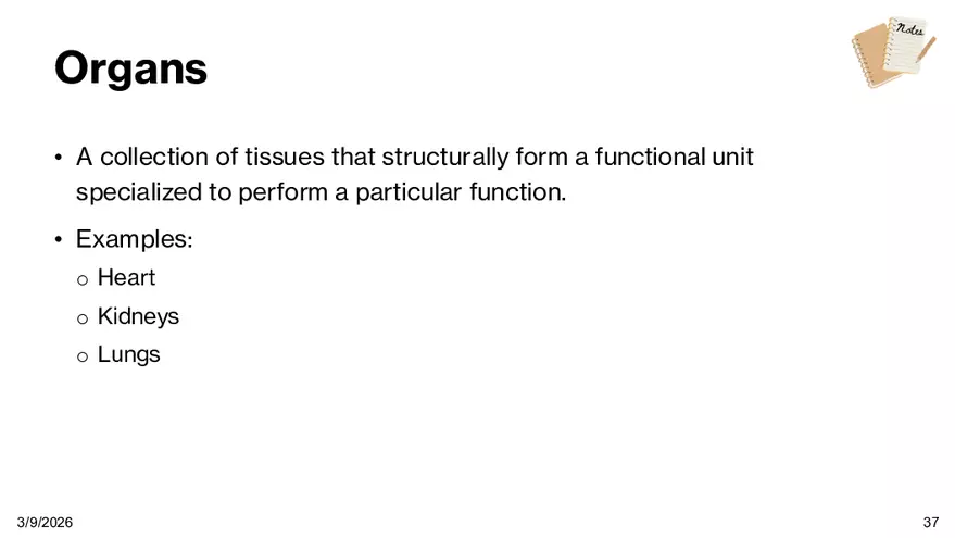 Notes - Chapter 5 - Page 31