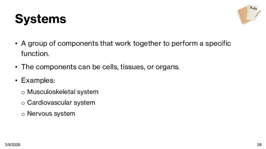 Notes - Chapter 5 - Page 32