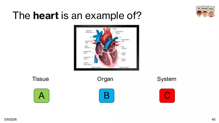 Notes - Chapter 5 - Page 34