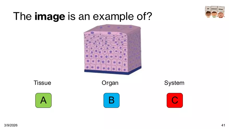 Notes - Chapter 5 - Page 36