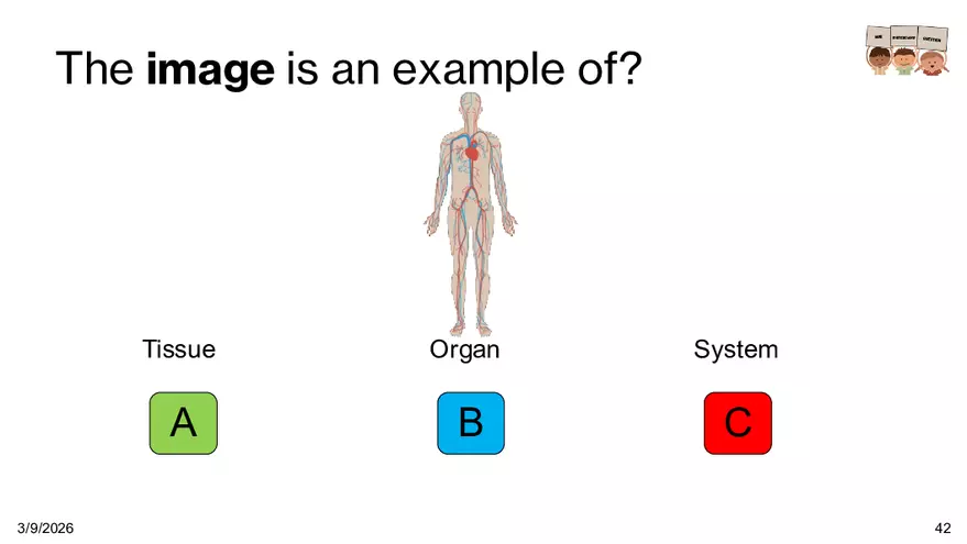 Notes - Chapter 5 - Page 37