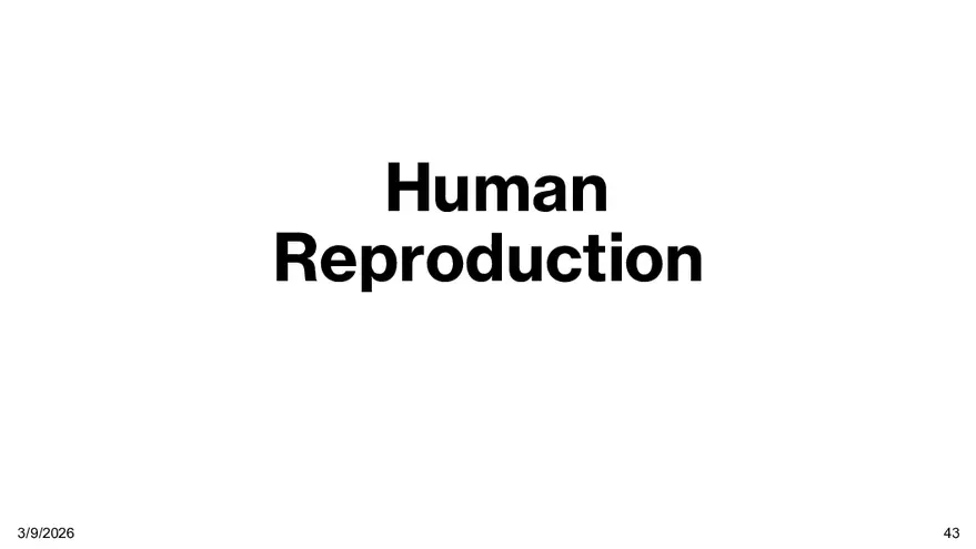 Notes - Chapter 5 - Page 38