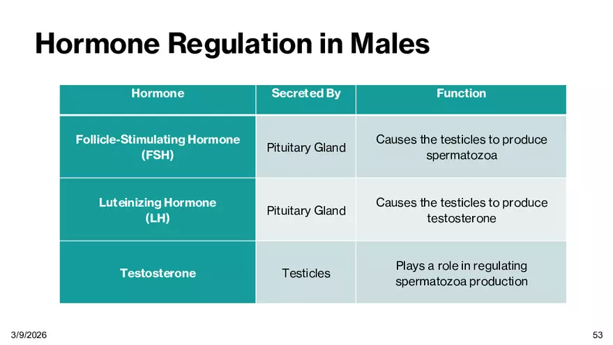 Notes - Chapter 5 - Page 49