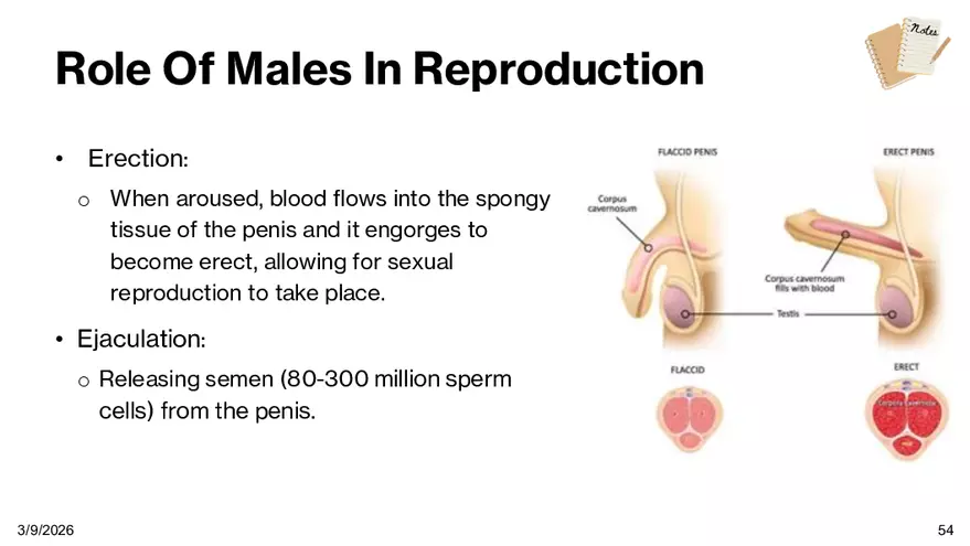 Notes - Chapter 5 - Page 50