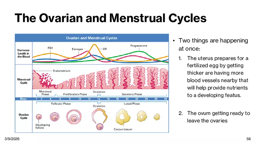 Notes - Chapter 5 - Page 52