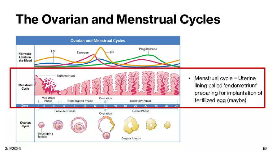 Notes - Chapter 5 - Page 54