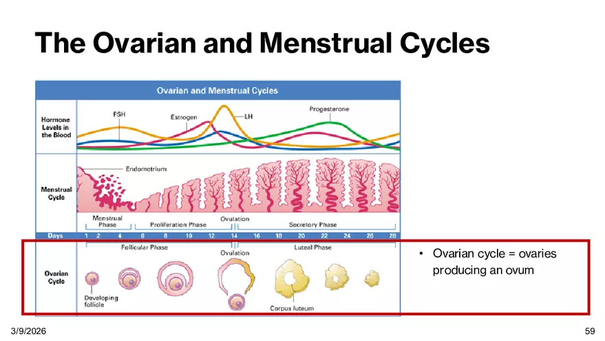 Notes - Chapter 5 - Page 55