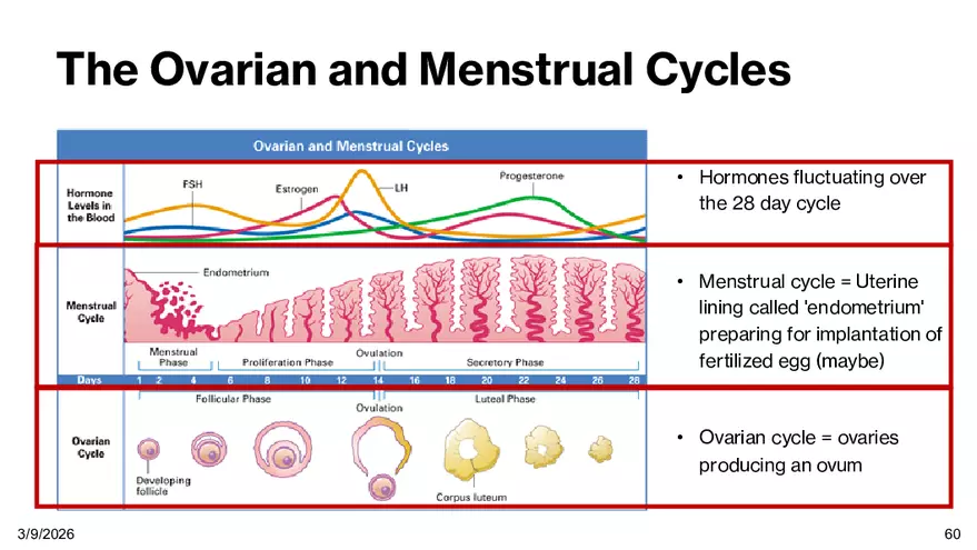 Notes - Chapter 5 - Page 56