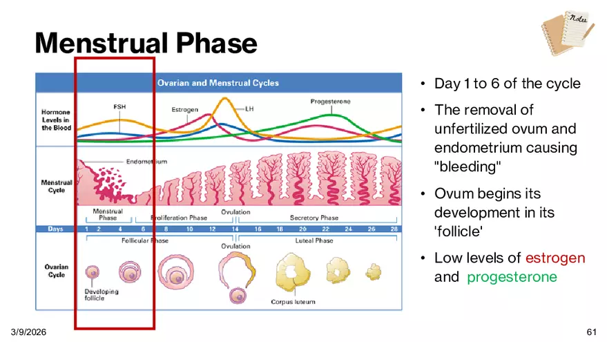 Notes - Chapter 5 - Page 58