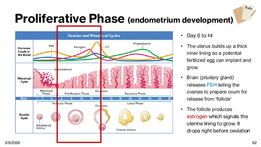 Notes - Chapter 5 - Page 59