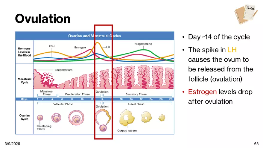 Notes - Chapter 5 - Page 60