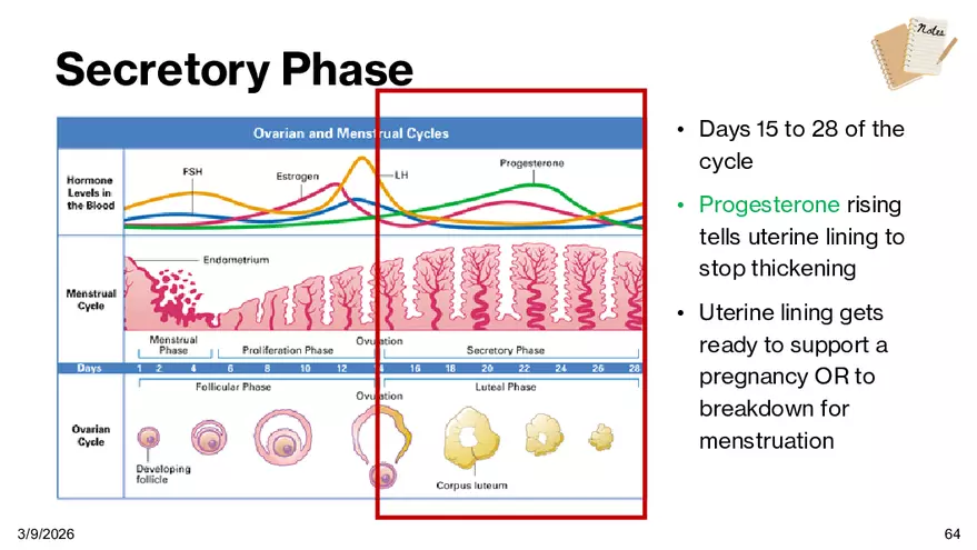 Notes - Chapter 5 - Page 61
