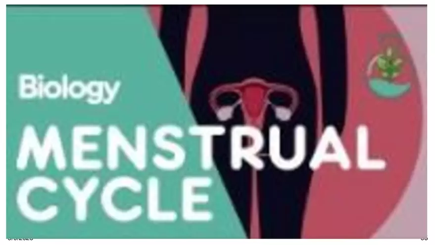 Notes - Chapter 5 - Page 62