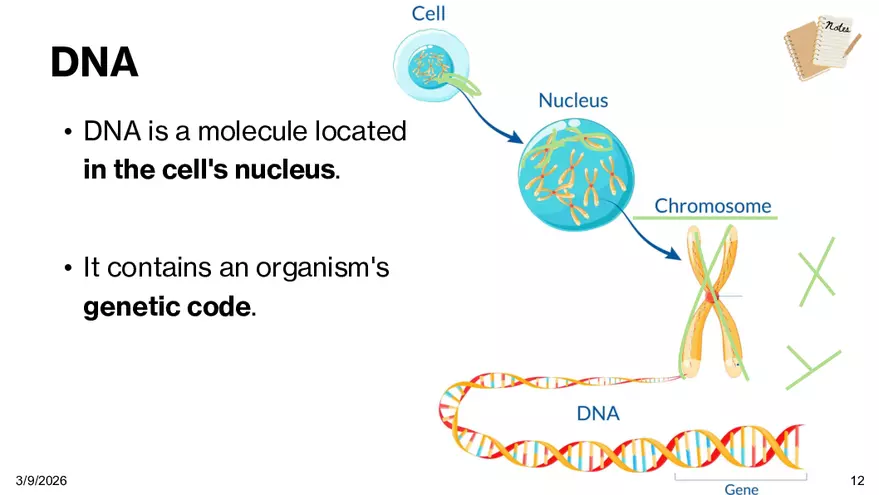 Notes - Chapter 5 - Page 4