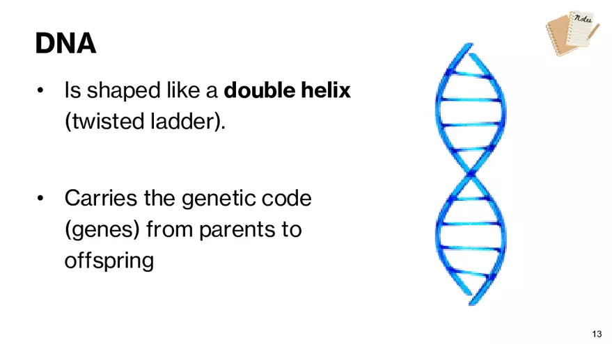 Notes - Chapter 5 - Page 5