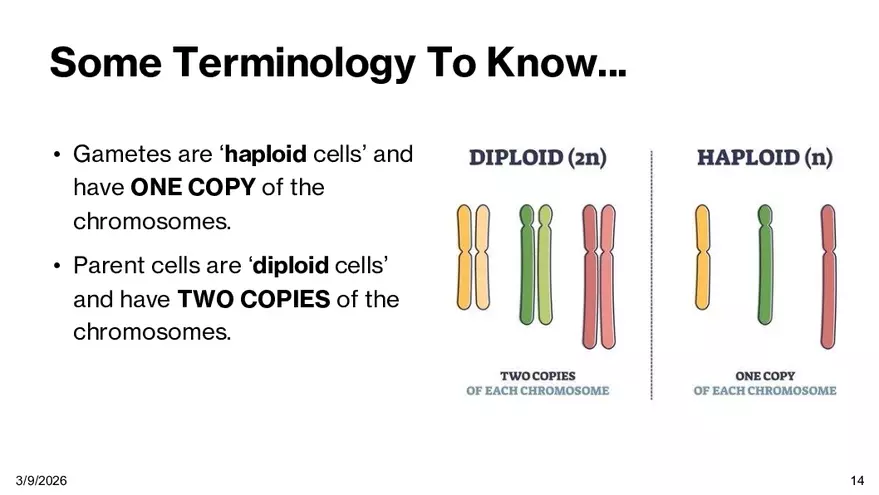 Notes - Chapter 5 - Page 6