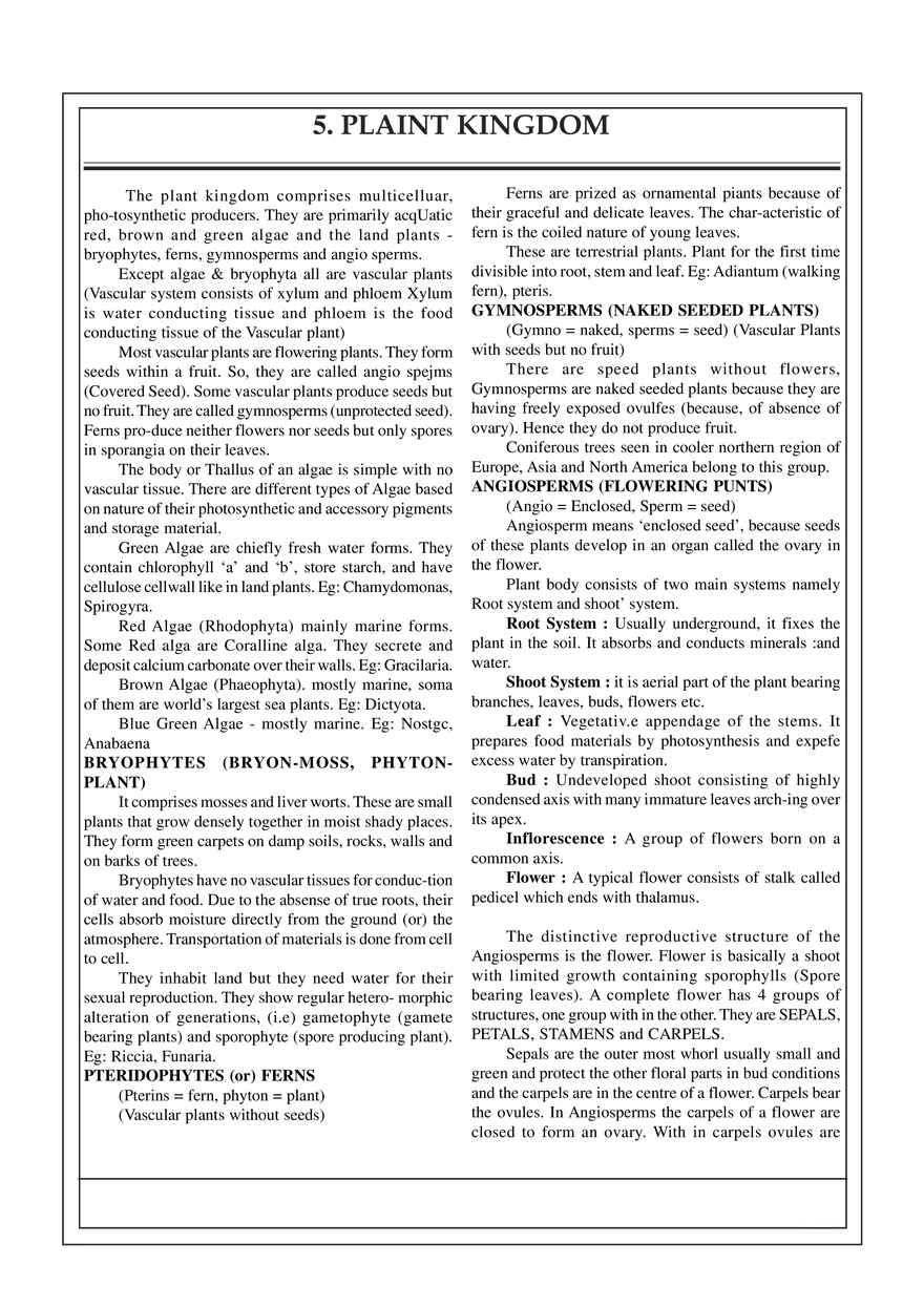 5. Plaint Kingdom - Page 1