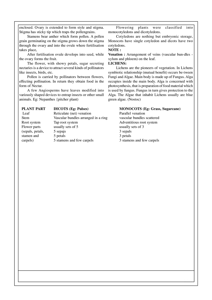 5. Plaint Kingdom - Page 2