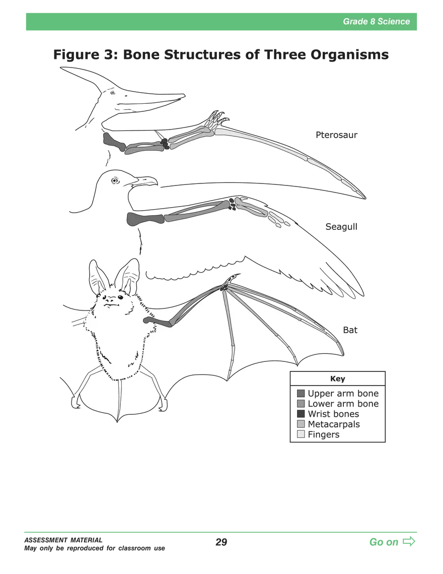 Open Grade 8: Science Practice Test - Page 25