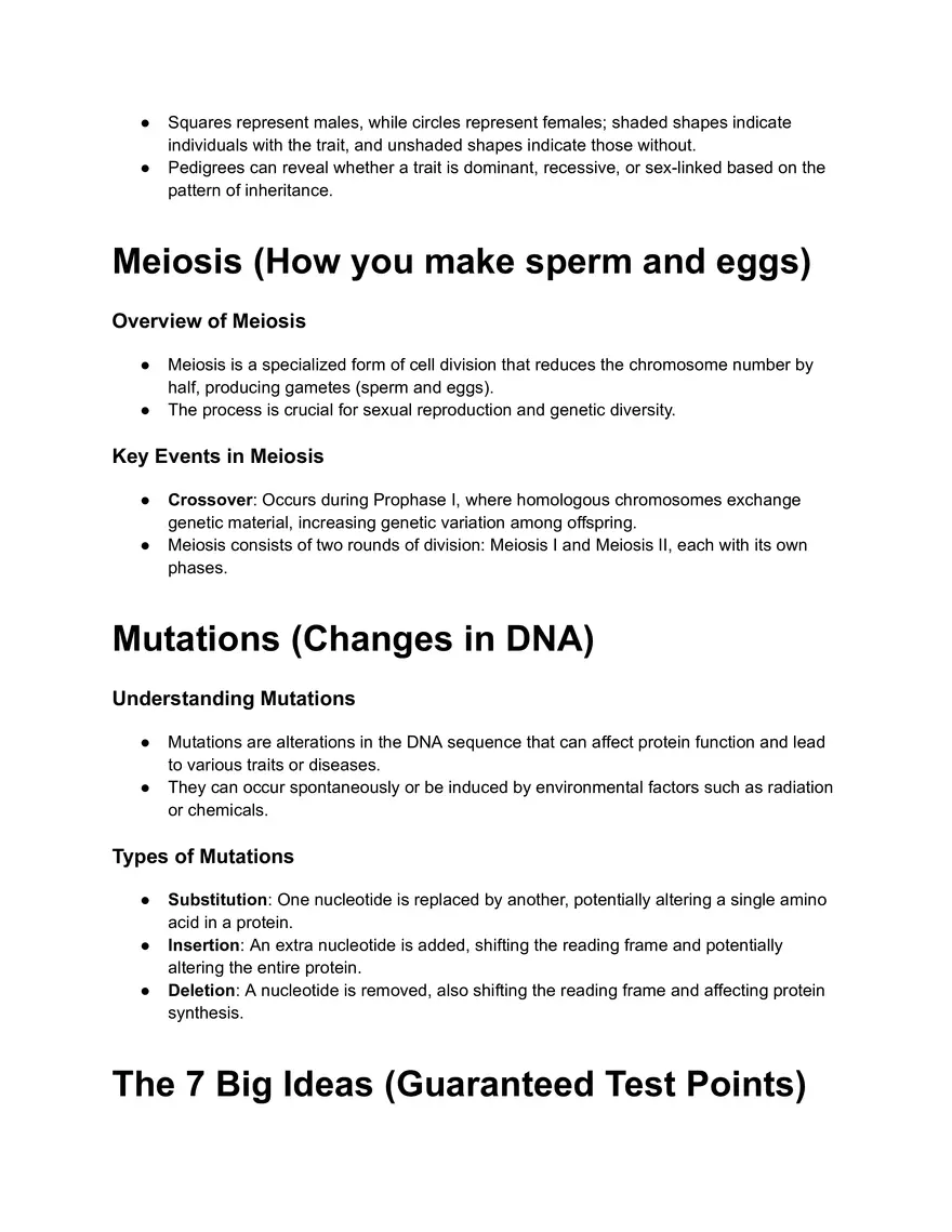 Overview of Protein Synthesis - Page 3