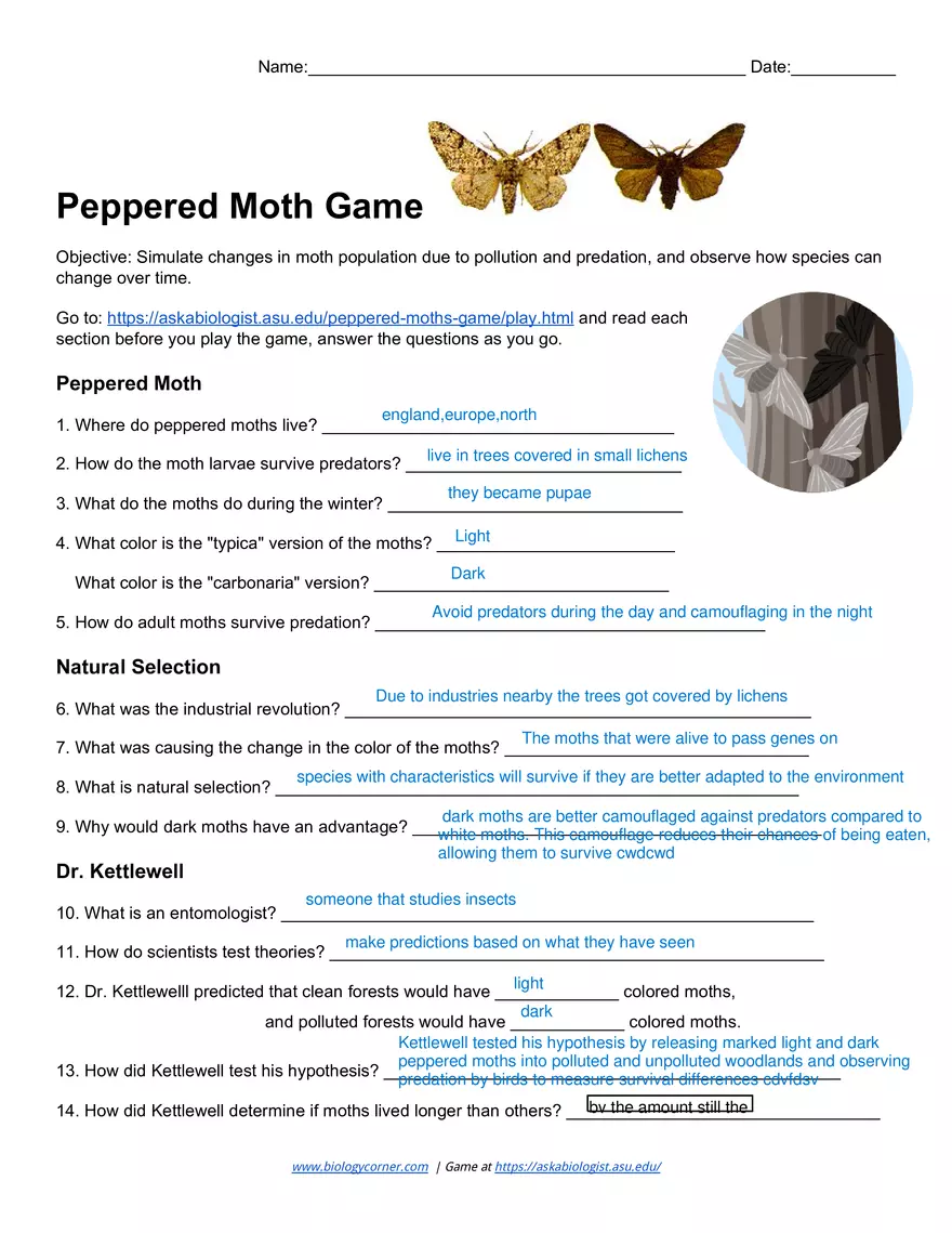 Peppered Moth Game - Page 1
