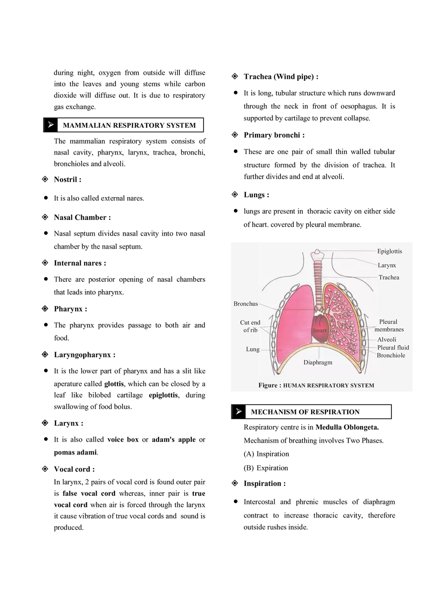 Respiration Notes - Page 2
