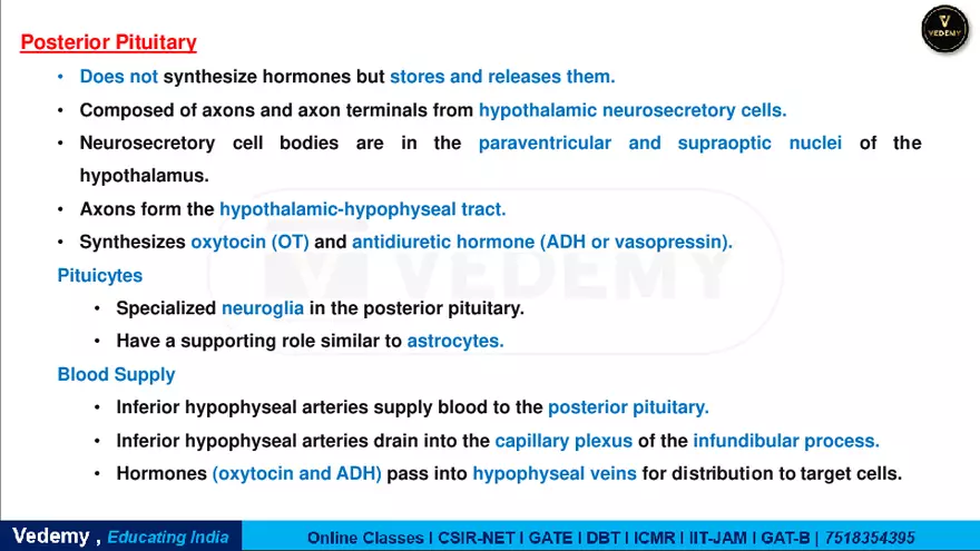 Endocrinology - 2 Content - Page 13