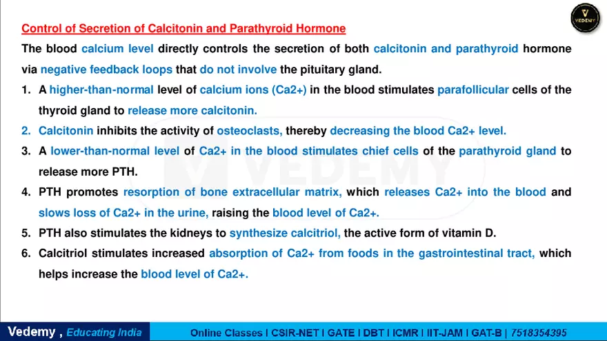 Endocrinology - 2 Content - Page 27